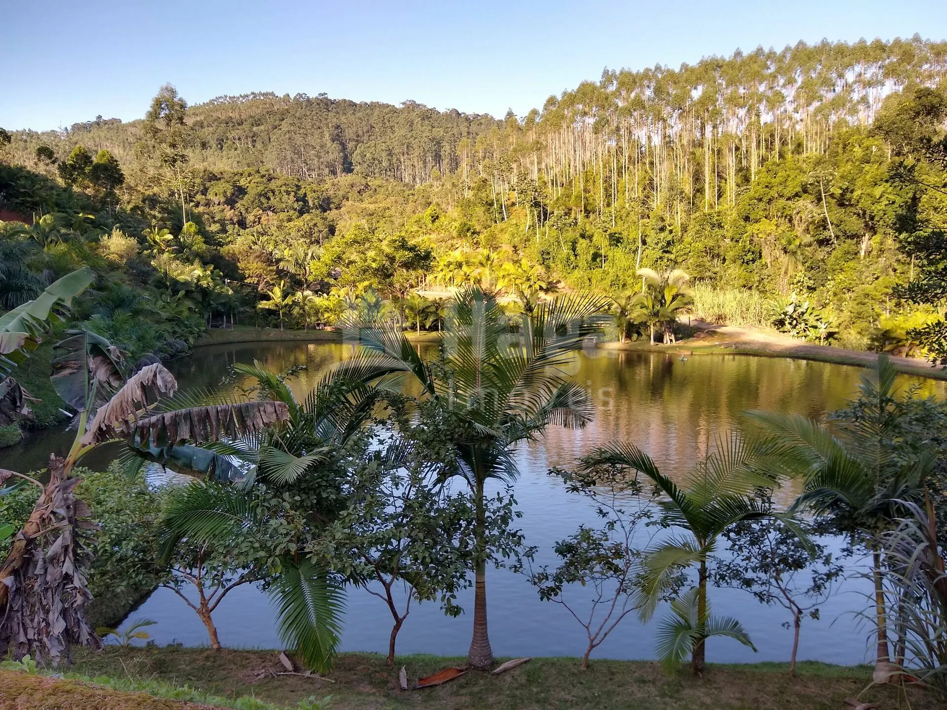 Farm for sale of 11 acres in Massaranduba, SC, Brazil