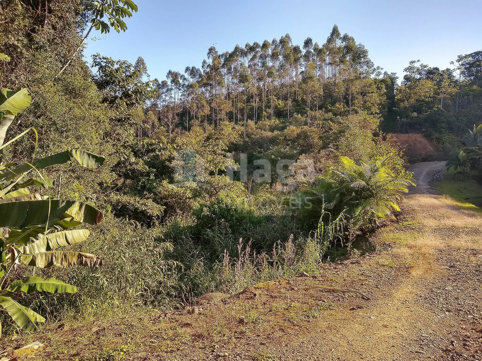 Farm for sale of 11 acres in Massaranduba, SC, Brazil