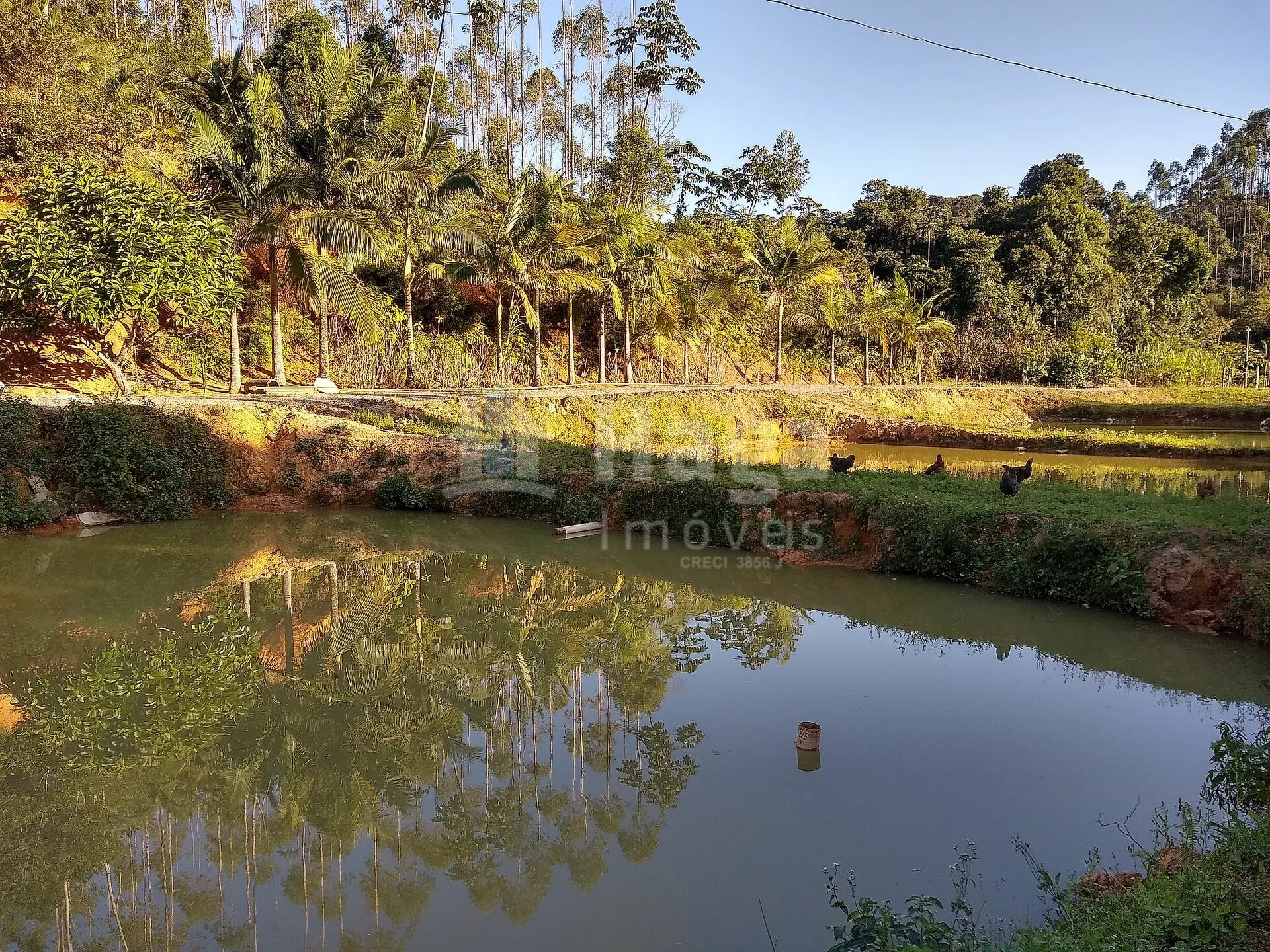 Farm for sale of 11 acres in Massaranduba, SC, Brazil