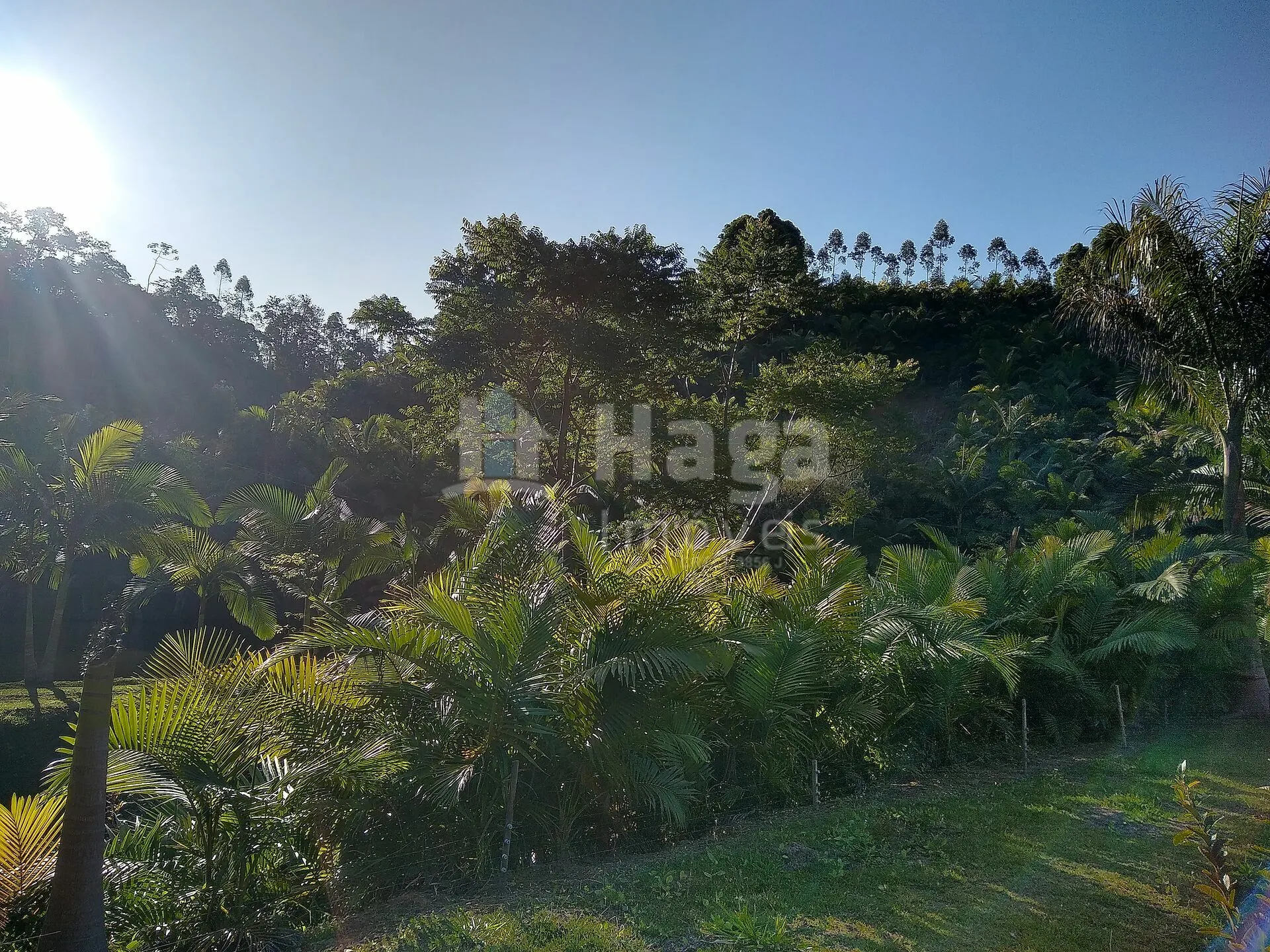 Farm for sale of 11 acres in Massaranduba, SC, Brazil