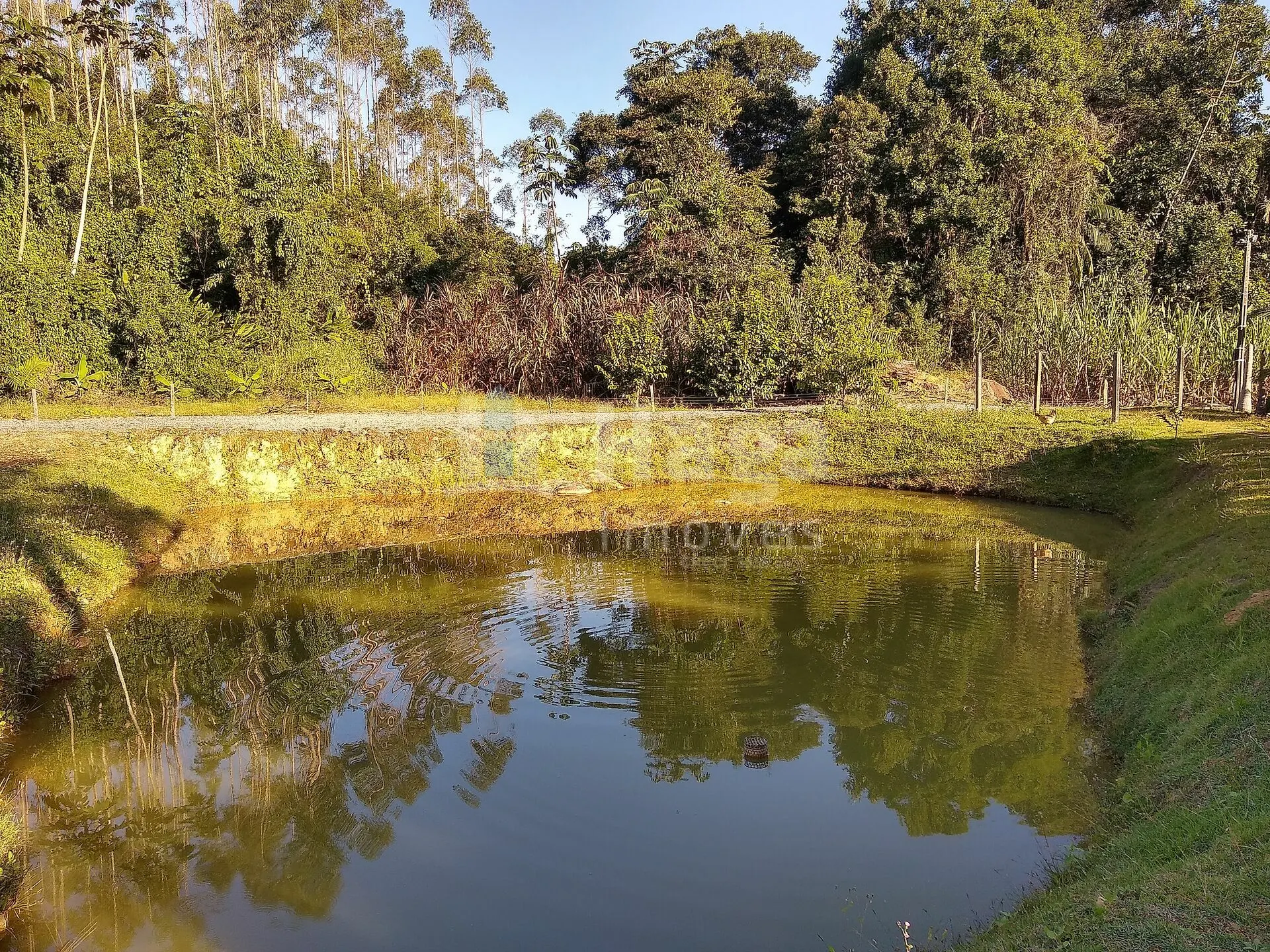 Farm for sale of 11 acres in Massaranduba, SC, Brazil