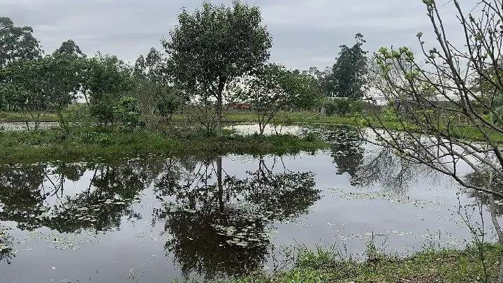 Terreno à venda de 250 m² em Santo Antônio da Patrulha, RS, Brasil