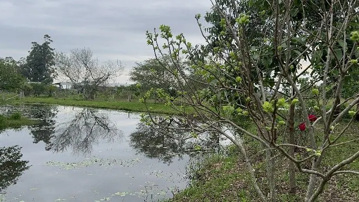 Terreno à venda de 250 m² em Santo Antônio da Patrulha, RS, Brasil