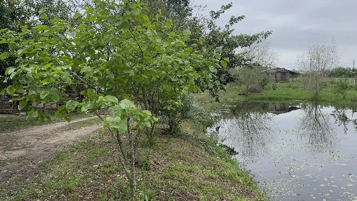 Terreno à venda de 250 m² em Santo Antônio da Patrulha, RS, Brasil