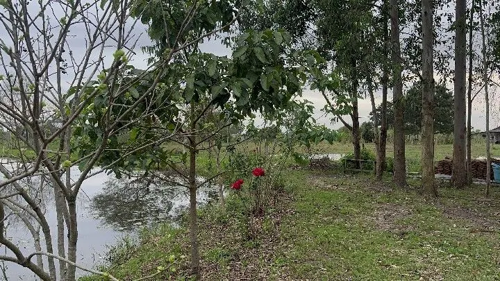 Terreno à venda de 250 m² em Santo Antônio da Patrulha, RS, Brasil