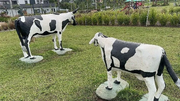 Terreno à venda de 250 m² em Santo Antônio da Patrulha, RS, Brasil