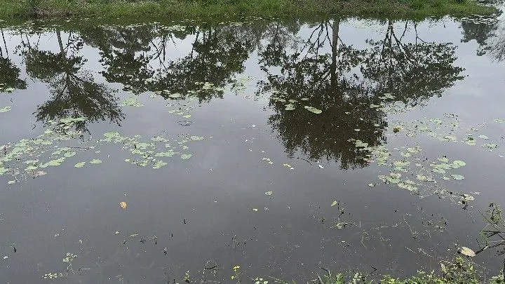 Terreno à venda de 250 m² em Santo Antônio da Patrulha, RS, Brasil