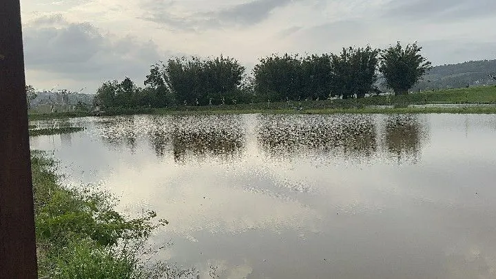 Terreno à venda de 250 m² em Santo Antônio da Patrulha, RS, Brasil
