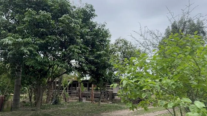 Terreno à venda de 250 m² em Santo Antônio da Patrulha, RS, Brasil
