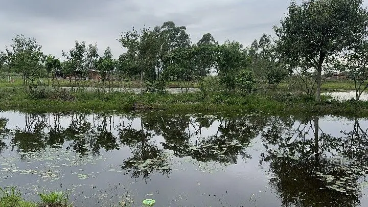 Terreno à venda de 250 m² em Santo Antônio da Patrulha, RS, Brasil