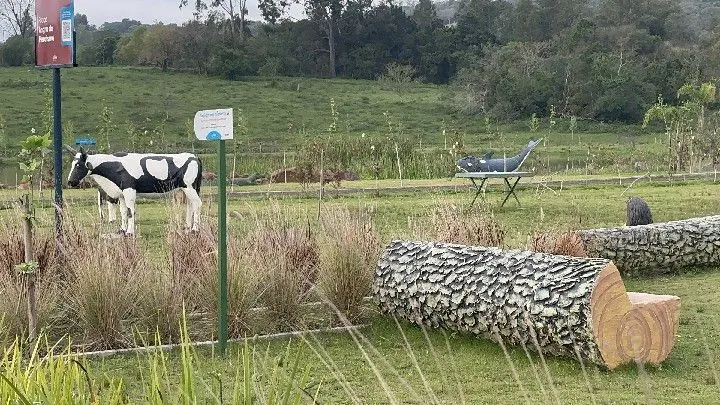 Terreno à venda de 250 m² em Santo Antônio da Patrulha, RS, Brasil