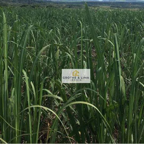 Fazenda à venda e para Arrendar de 5.697 ha em Presidente Prudente, SP, Brasil