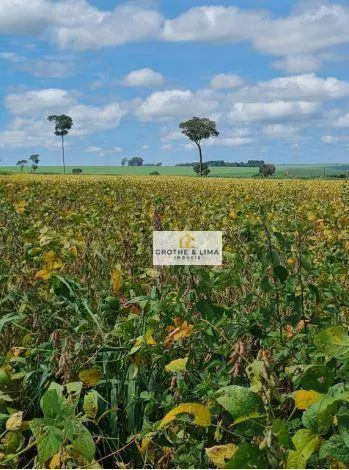 Fazenda à venda e para Arrendar de 5.697 ha em Presidente Prudente, SP, Brasil