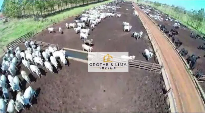 Fazenda à venda e para Arrendar de 5.697 ha em Presidente Prudente, SP, Brasil