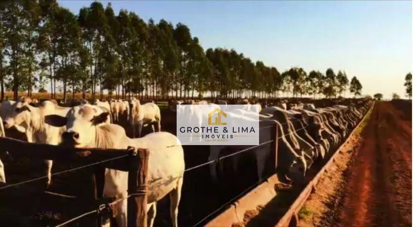 Fazenda à venda e para Arrendar de 5.697 ha em Presidente Prudente, SP, Brasil