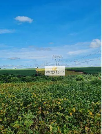 Fazenda à venda e para Arrendar de 5.697 ha em Presidente Prudente, SP, Brasil