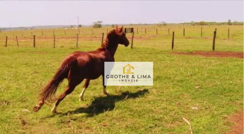 Fazenda à venda e para Arrendar de 5.697 ha em Presidente Prudente, SP, Brasil