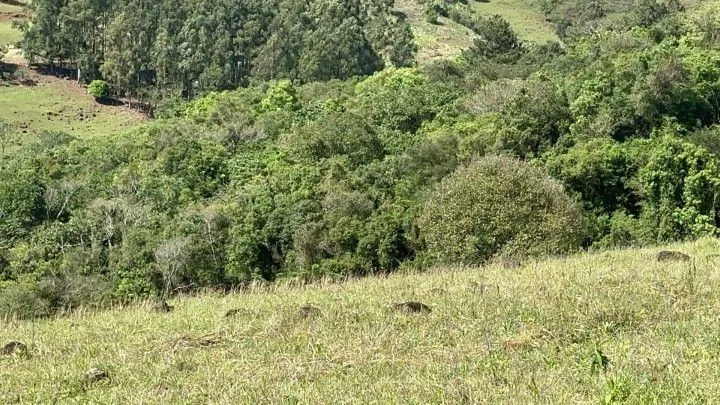 Chácara à venda de 10 ha em Santo Antônio da Patrulha, RS, Brasil