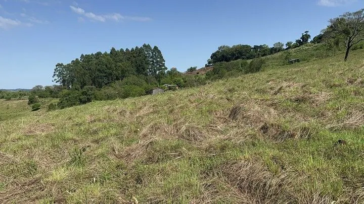 Chácara à venda de 10 ha em Santo Antônio da Patrulha, RS, Brasil