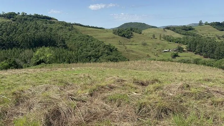 Chácara à venda de 10 ha em Santo Antônio da Patrulha, RS, Brasil