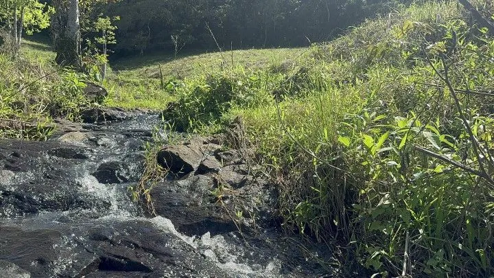 Chácara à venda de 10 ha em Santo Antônio da Patrulha, RS, Brasil