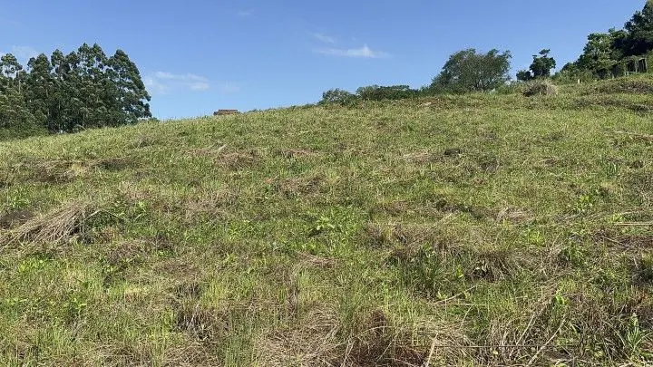 Chácara à venda de 10 ha em Santo Antônio da Patrulha, RS, Brasil