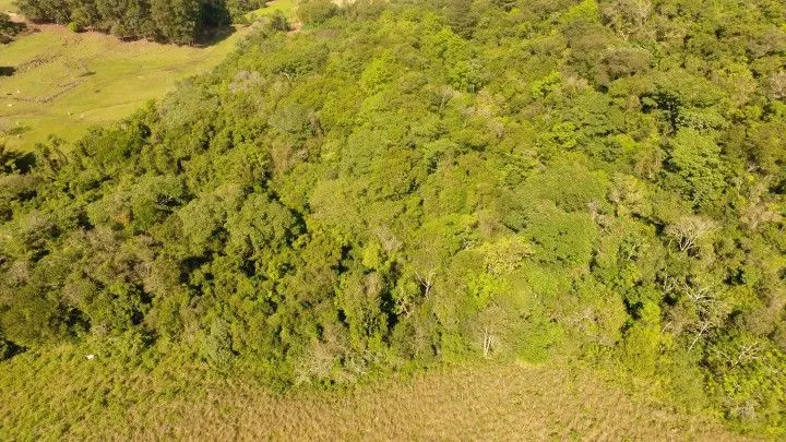 Chácara à venda de 10 ha em Santo Antônio da Patrulha, RS, Brasil