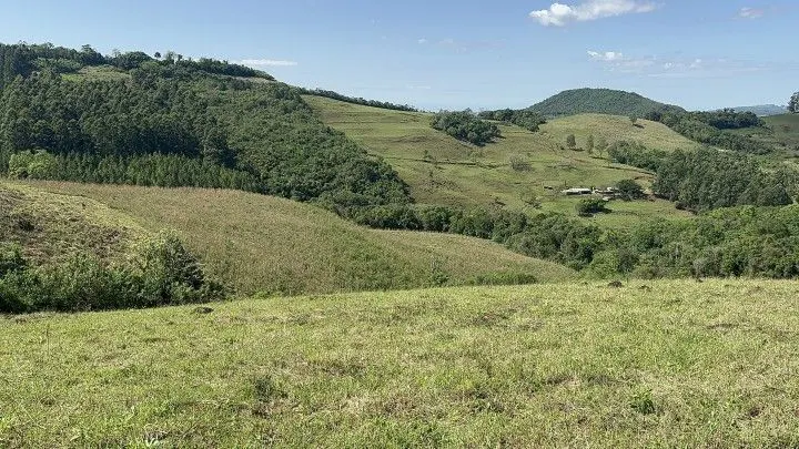 Chácara à venda de 10 ha em Santo Antônio da Patrulha, RS, Brasil