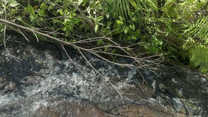 Chácara à venda de 10 ha em Santo Antônio da Patrulha, RS, Brasil