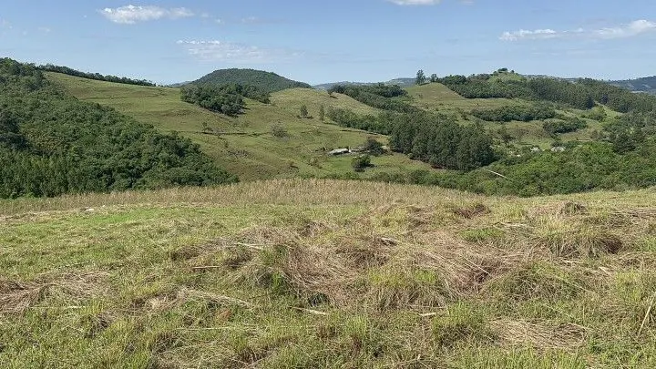 Chácara à venda de 10 ha em Santo Antônio da Patrulha, RS, Brasil