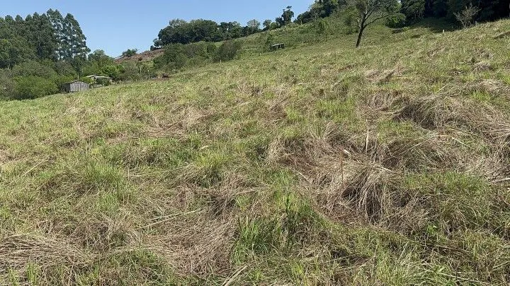 Chácara à venda de 10 ha em Santo Antônio da Patrulha, RS, Brasil