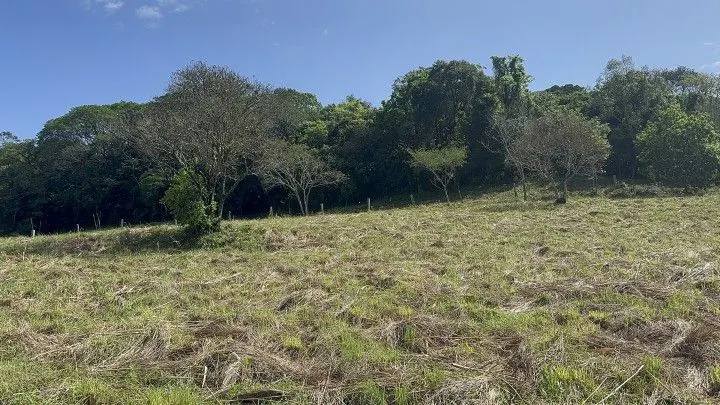 Chácara à venda de 10 ha em Santo Antônio da Patrulha, RS, Brasil