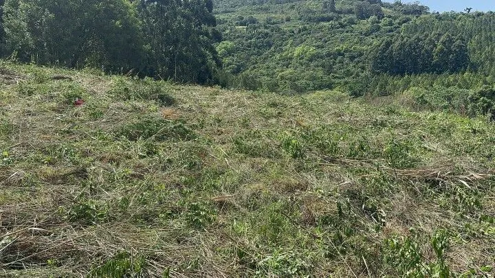 Chácara à venda de 10 ha em Santo Antônio da Patrulha, RS, Brasil