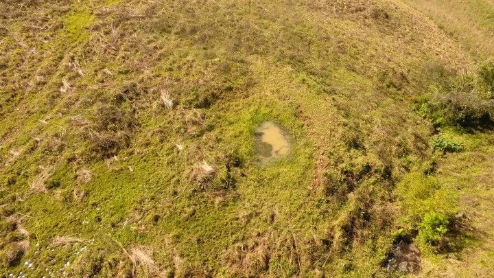 Chácara à venda de 10 ha em Santo Antônio da Patrulha, RS, Brasil