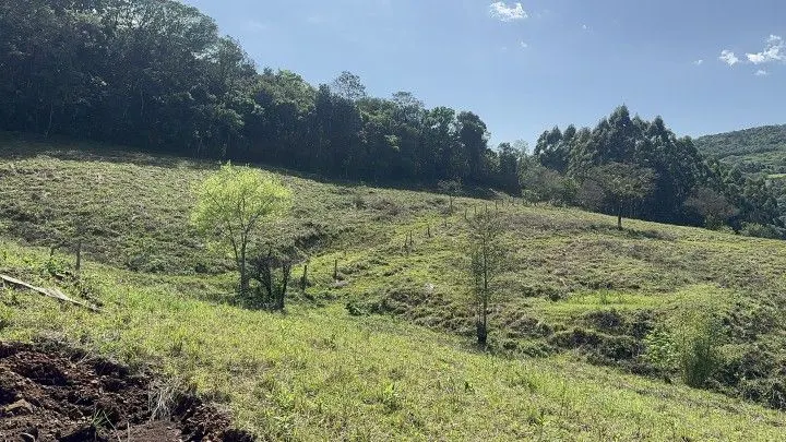 Chácara à venda de 10 ha em Santo Antônio da Patrulha, RS, Brasil