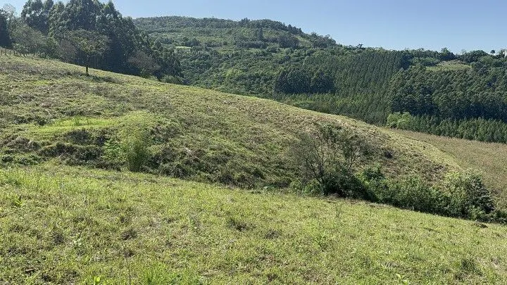 Chácara à venda de 10 ha em Santo Antônio da Patrulha, RS, Brasil