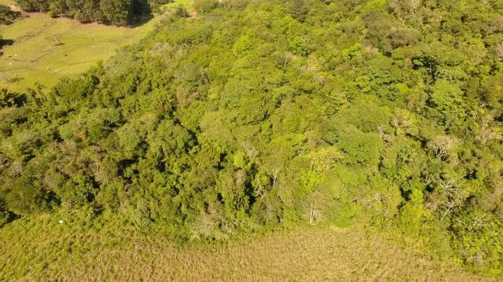 Chácara à venda de 10 ha em Santo Antônio da Patrulha, RS, Brasil