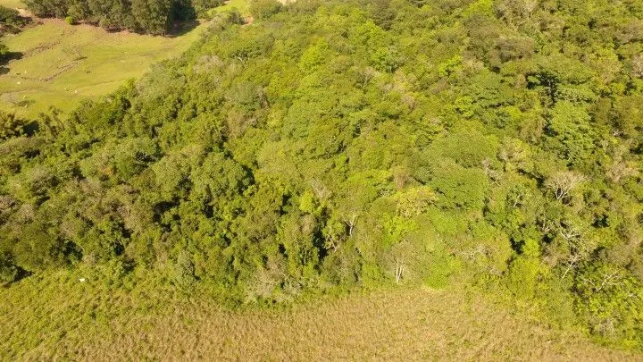 Chácara à venda de 10 ha em Santo Antônio da Patrulha, RS, Brasil