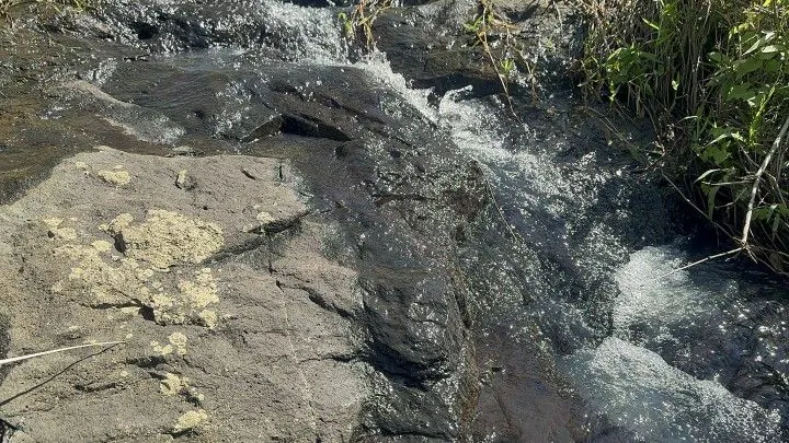 Chácara à venda de 10 ha em Santo Antônio da Patrulha, RS, Brasil