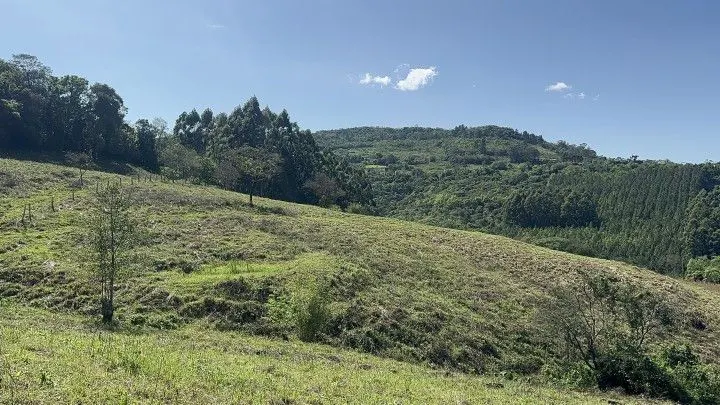 Chácara à venda de 10 ha em Santo Antônio da Patrulha, RS, Brasil