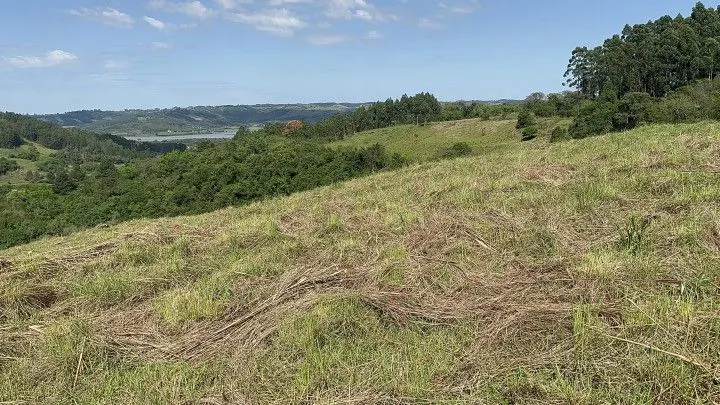 Chácara à venda de 10 ha em Santo Antônio da Patrulha, RS, Brasil