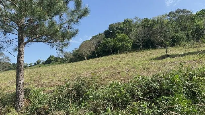 Chácara à venda de 10 ha em Santo Antônio da Patrulha, RS, Brasil