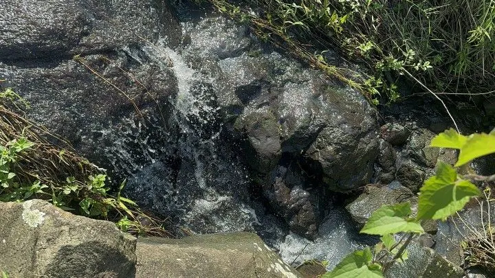 Chácara à venda de 10 ha em Santo Antônio da Patrulha, RS, Brasil