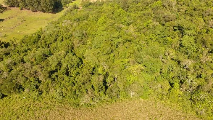 Chácara à venda de 10 ha em Santo Antônio da Patrulha, RS, Brasil