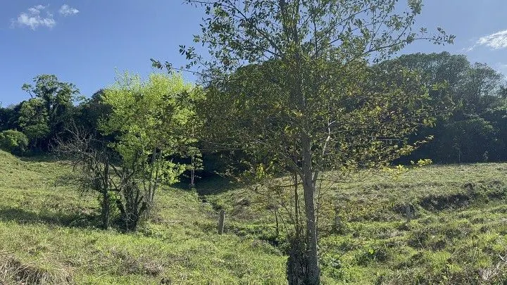 Chácara à venda de 10 ha em Santo Antônio da Patrulha, RS, Brasil