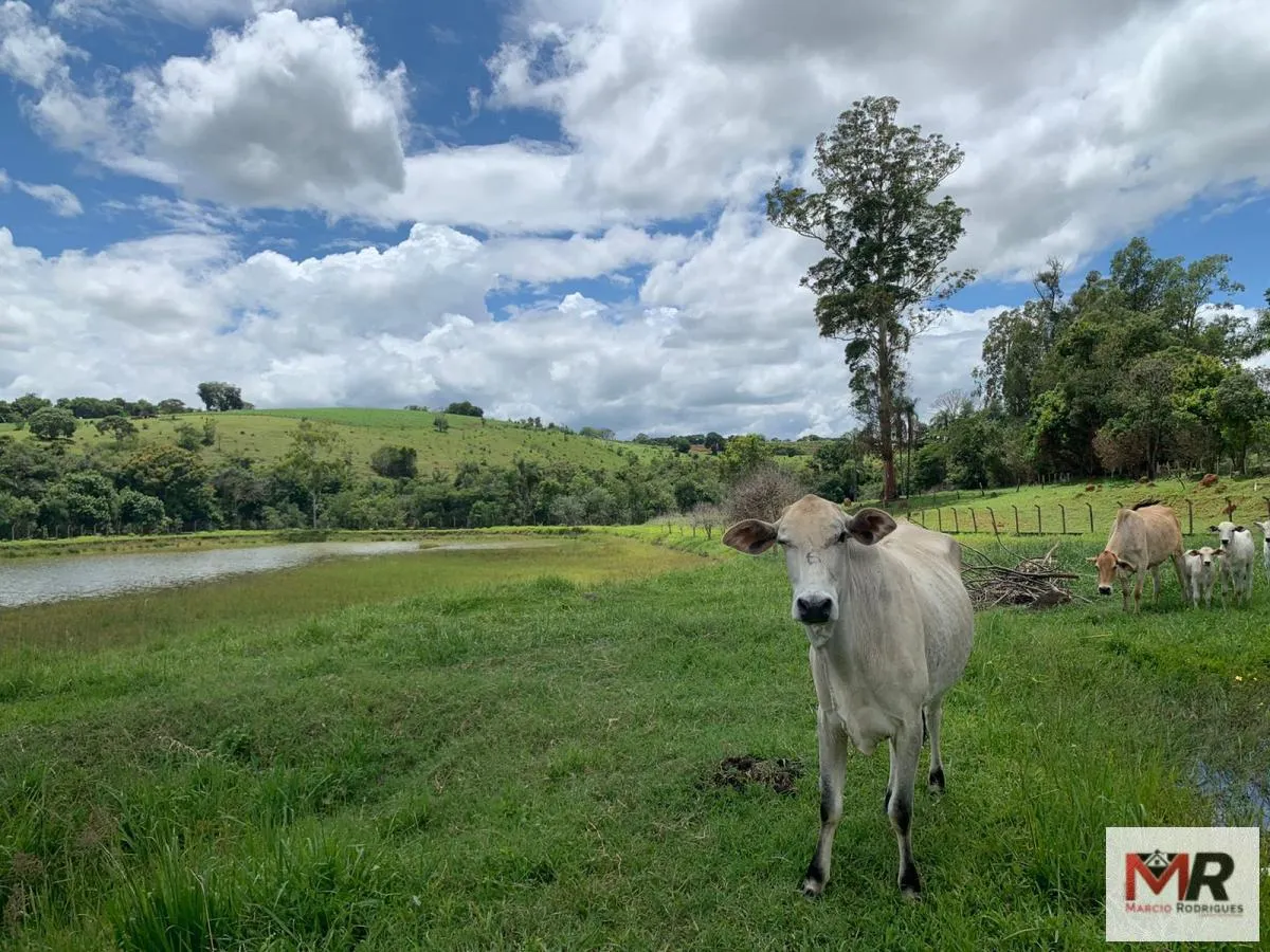 Small farm for sale of 17 acres in Monte Sião, MG, Brazil