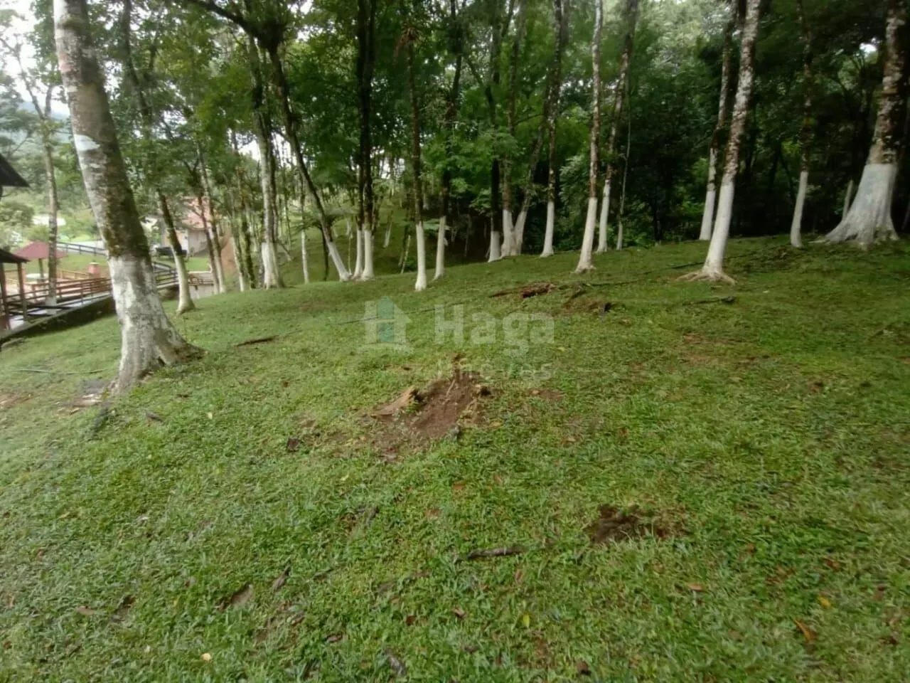 Fazenda à venda e para Arrendar de 2 ha em Rio dos Cedros, SC, Brasil