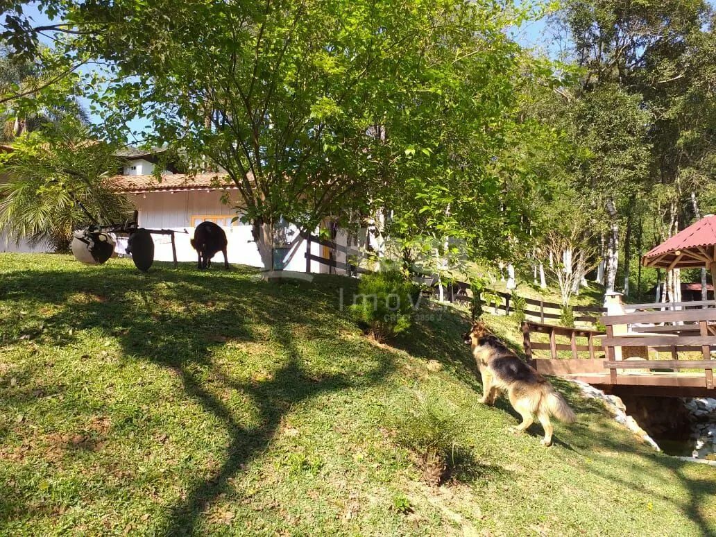 Fazenda à venda e para Arrendar de 2 ha em Rio dos Cedros, SC, Brasil
