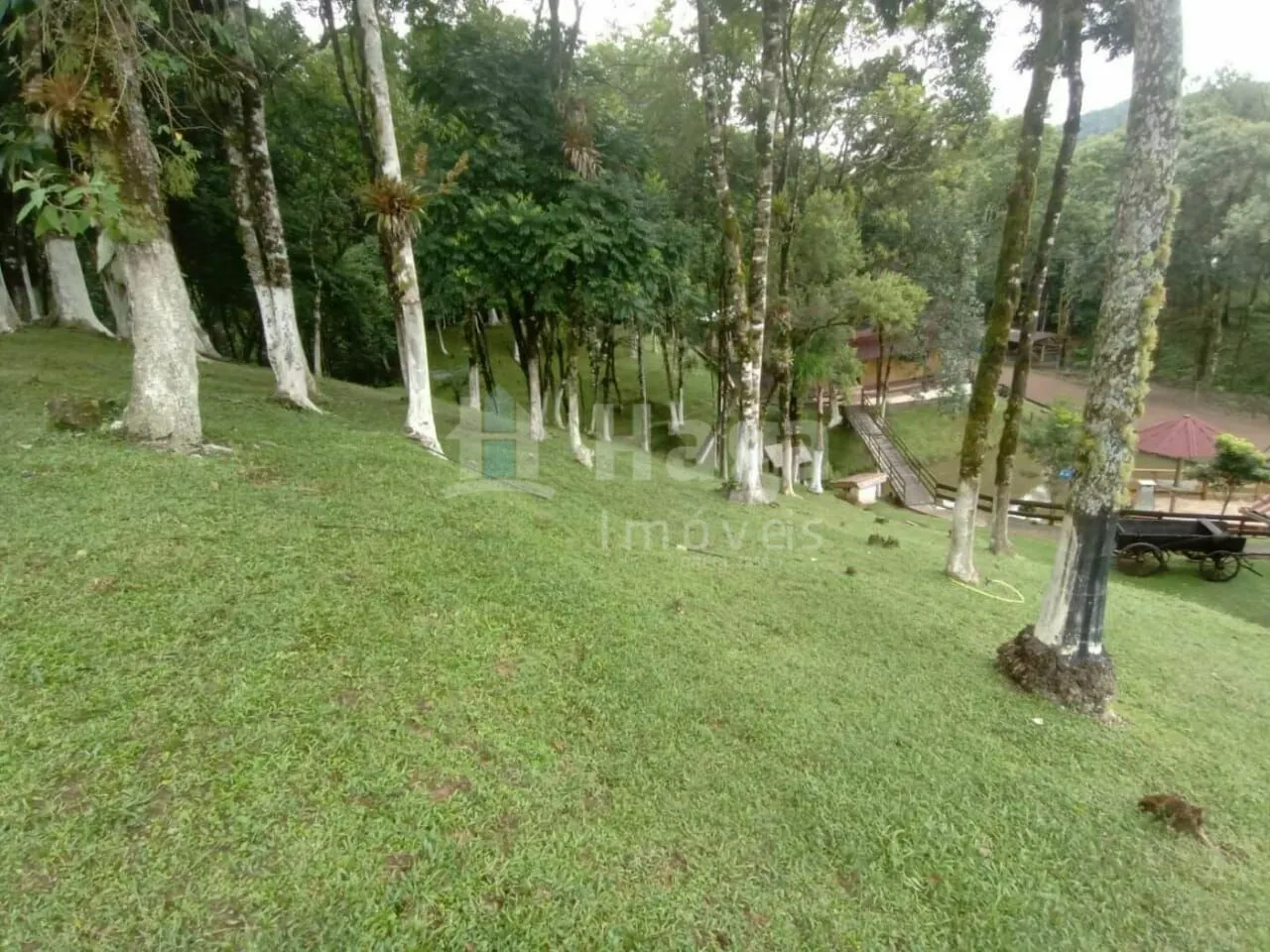 Fazenda à venda e para Arrendar de 2 ha em Rio dos Cedros, SC, Brasil
