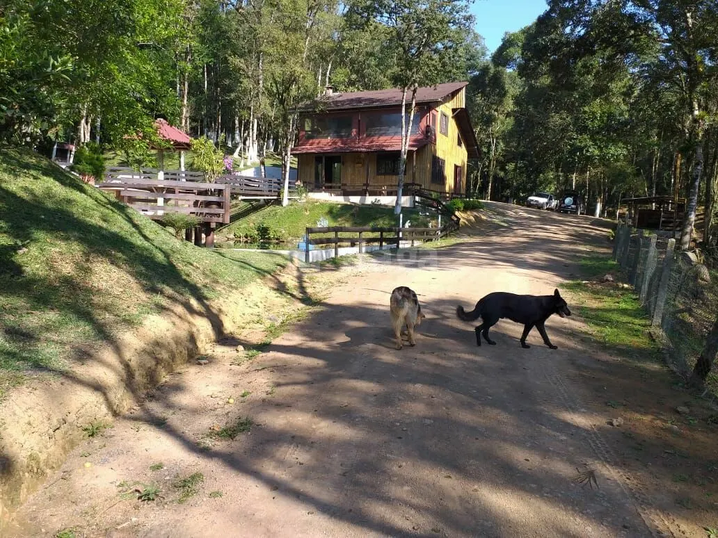 Fazenda à venda e para Arrendar de 2 ha em Rio dos Cedros, SC, Brasil